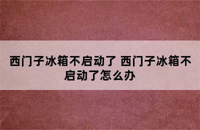 西门子冰箱不启动了 西门子冰箱不启动了怎么办